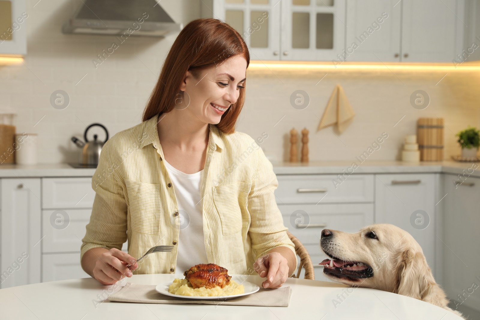 Photo of Cute dog begging for food while owner eating at table