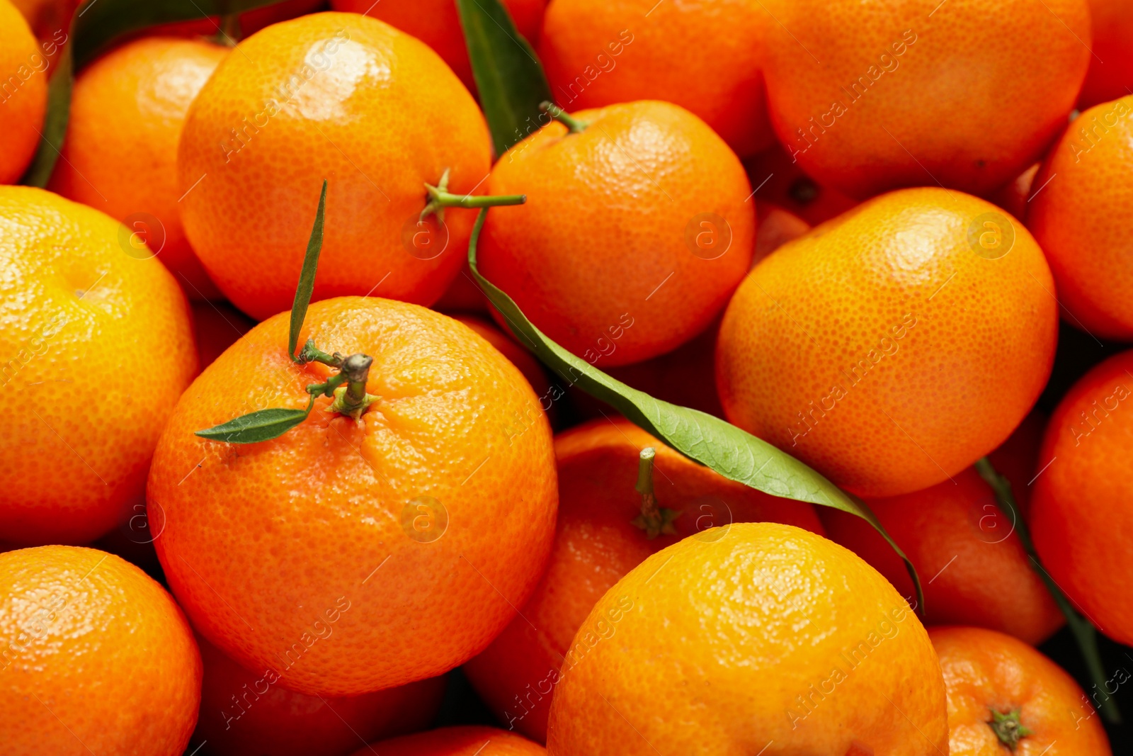 Photo of Fresh ripe tangerines with leaves as background, above view. Citrus fruit