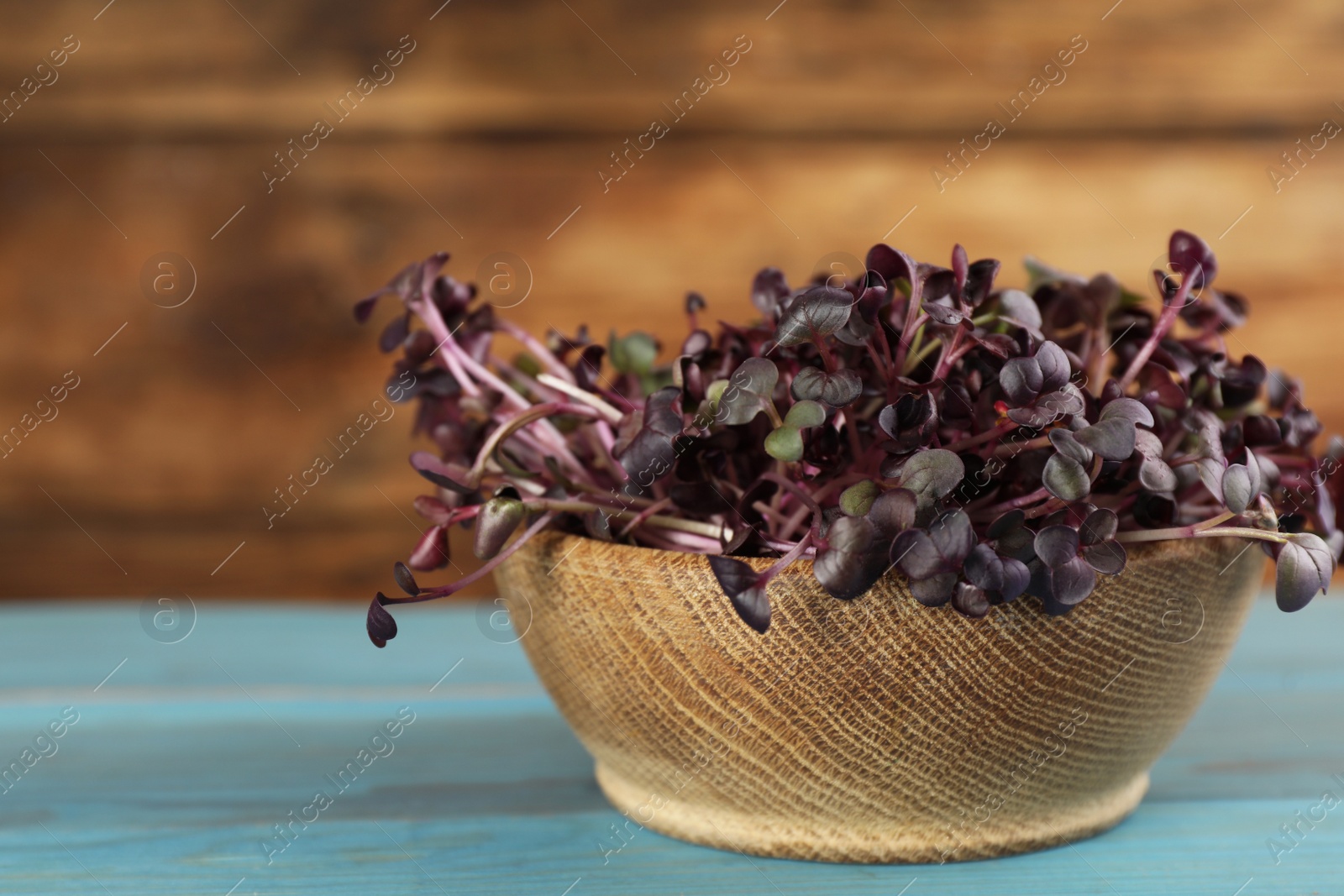 Photo of Fresh radish microgreens in bowl on turquoise wooden table, closeup