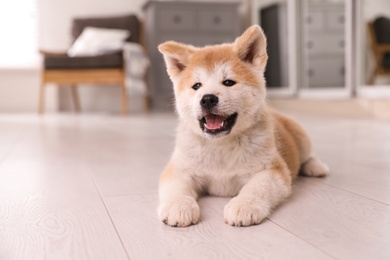 Photo of Adorable akita inu puppy lying on floor at home