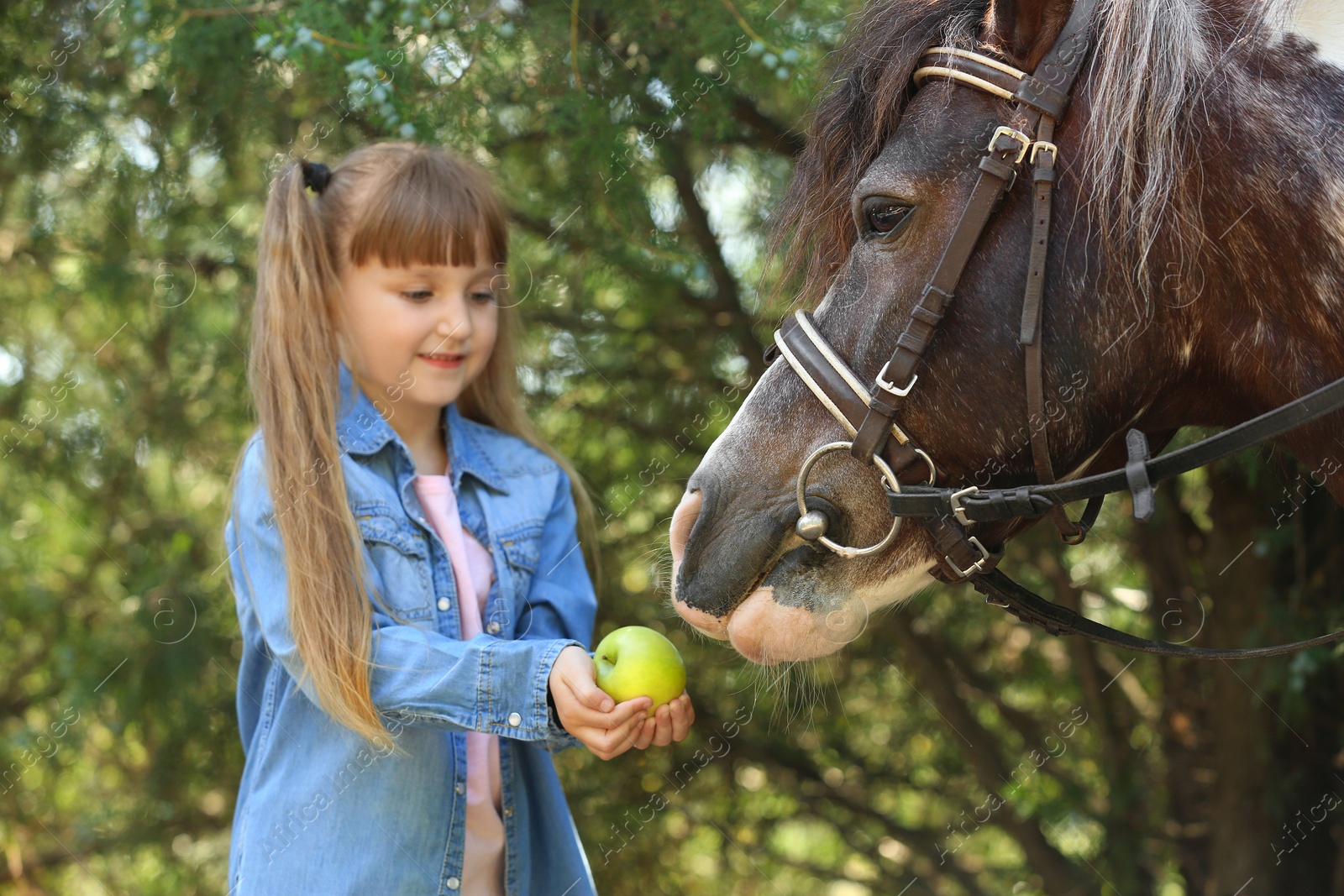 Photo of Cute little girl feeding her pony with apple in green park