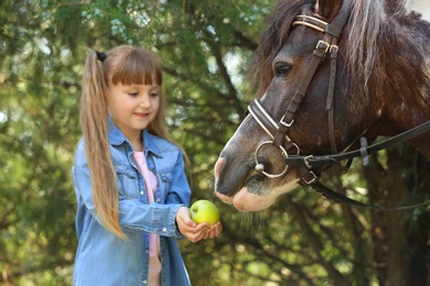 Photo of Cute little girl feeding her pony with apple in green park