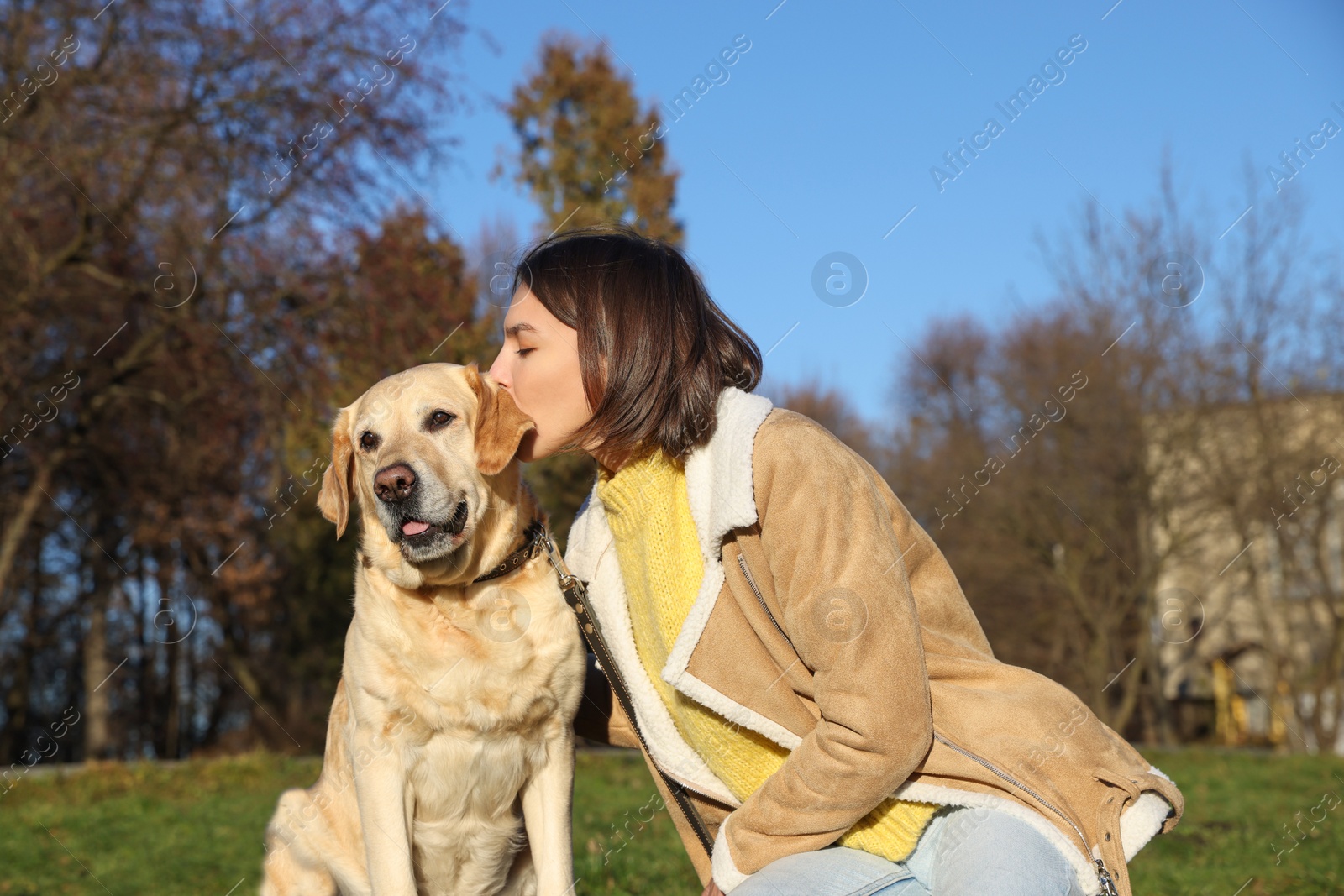 Photo of Beautiful young woman kissing cute Labrador Retriever on sunny day outdoors