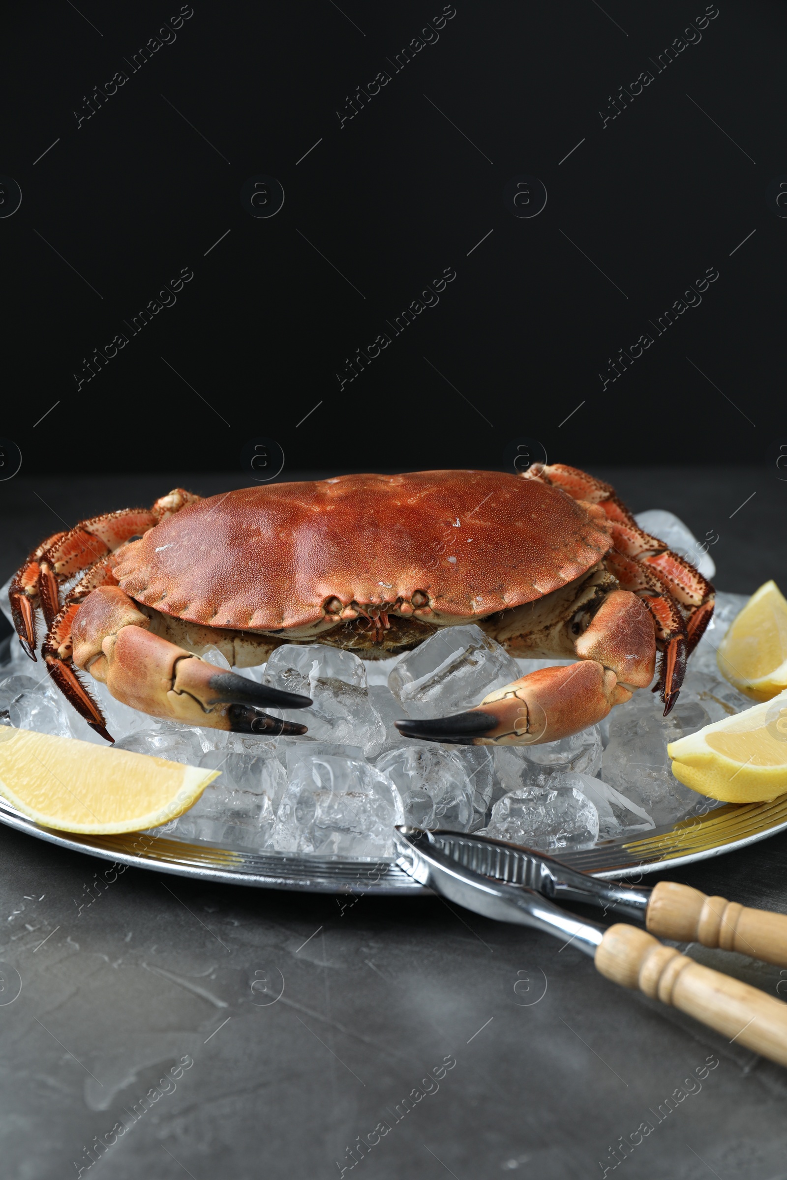 Photo of Delicious boiled crab with ice cubes, slices of lemon and cracker on grey table