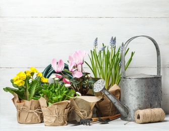 Composition with plants and gardening tools on table against wooden background