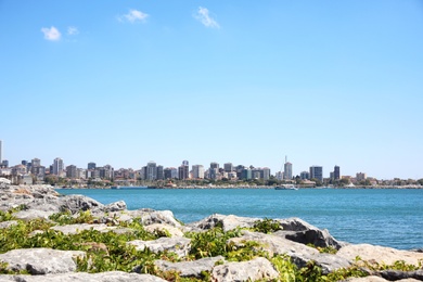 Photo of Beautiful view of city near sea on sunny day