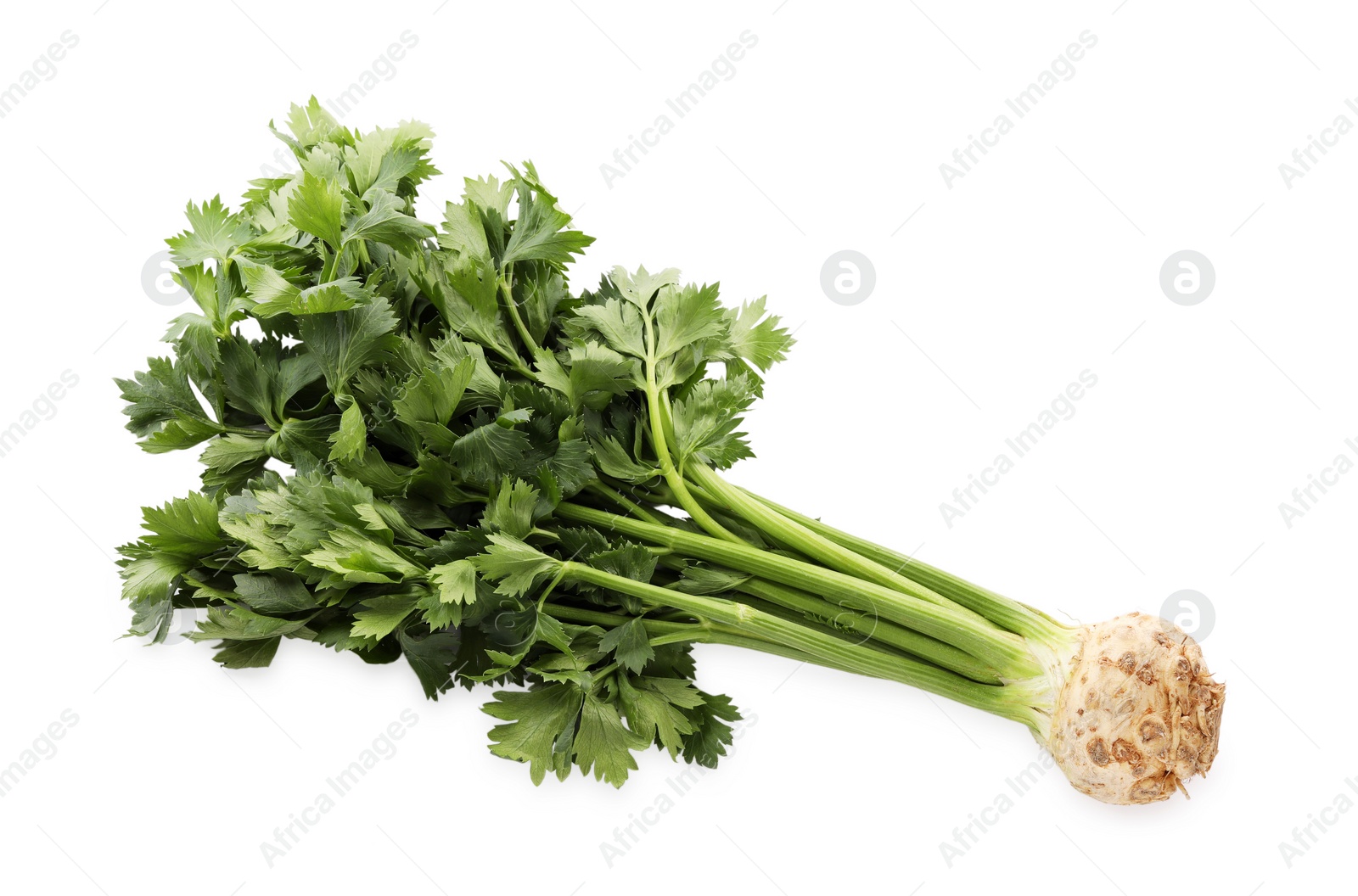 Photo of Fresh raw celery root with stalks isolated on white, top view