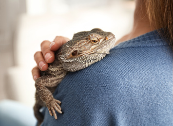 Photo of Young woman with bearded lizard at home, closeup. Exotic pet