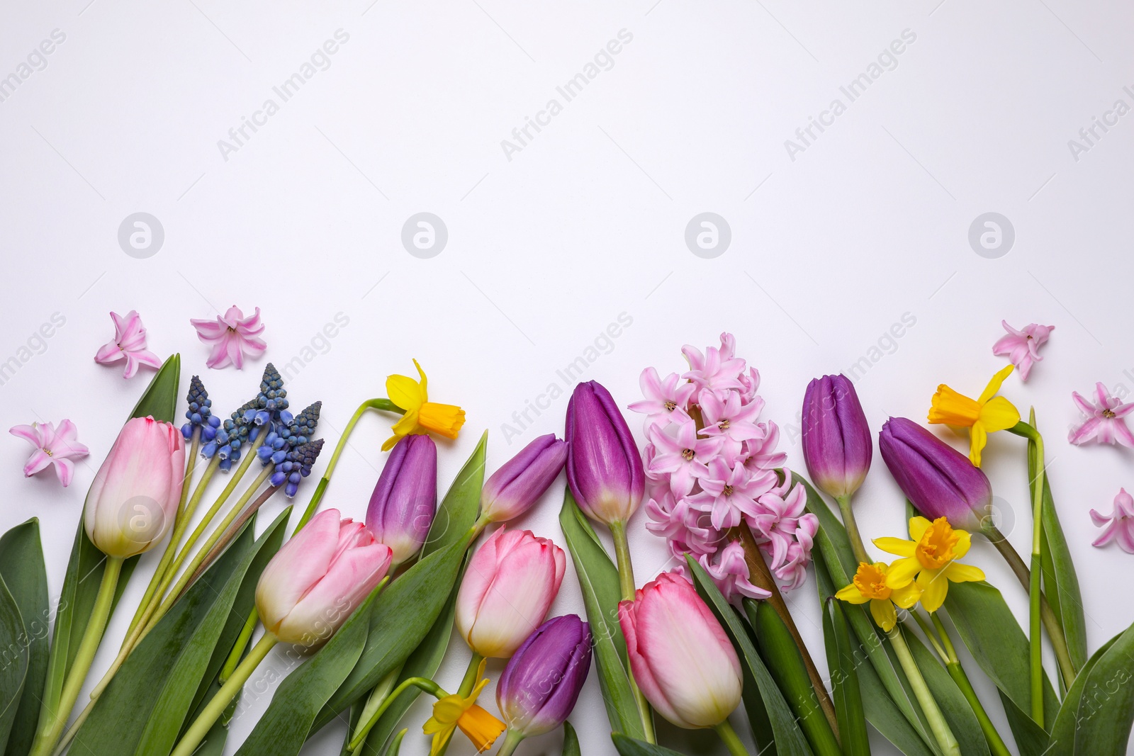 Photo of Beautiful flowers on white background, flat lay. Space for text