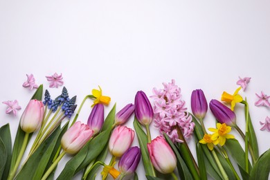 Beautiful flowers on white background, flat lay. Space for text