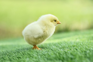 Photo of Cute chick on green artificial grass outdoors, closeup. Baby animal