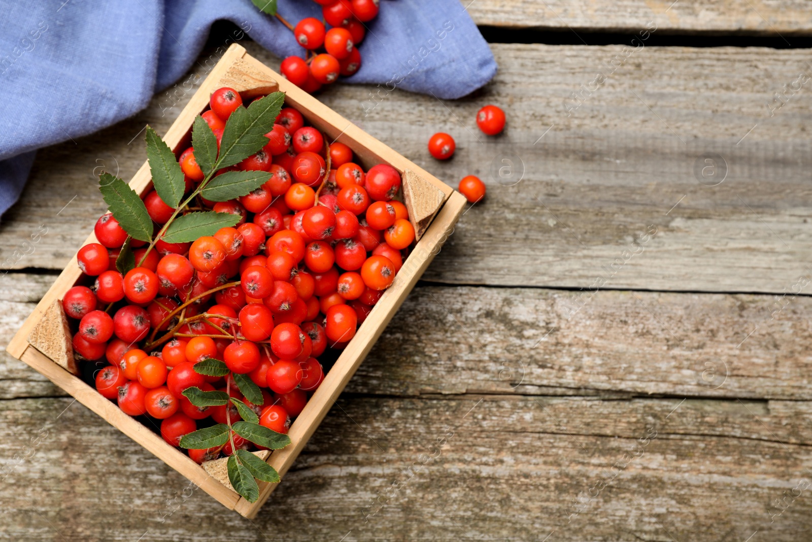 Photo of Fresh ripe rowan berries with green leaves on wooden table, flat lay. Space for text