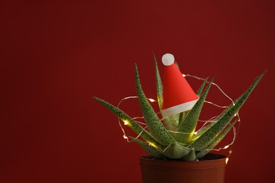 Photo of Cactus decorated with glowing fairy lights and santa hat on red background. Space for text