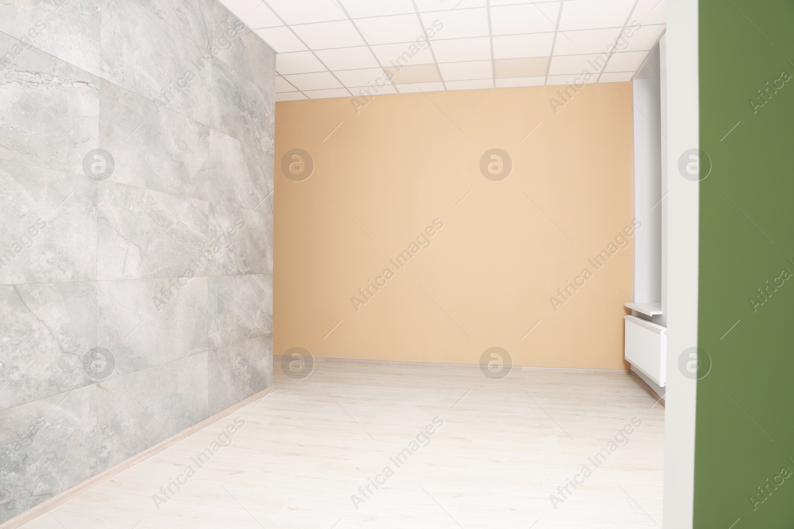 Photo of Empty office room with color walls. Interior design