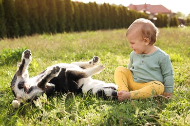 Adorable baby and furry little dog on green grass outdoors