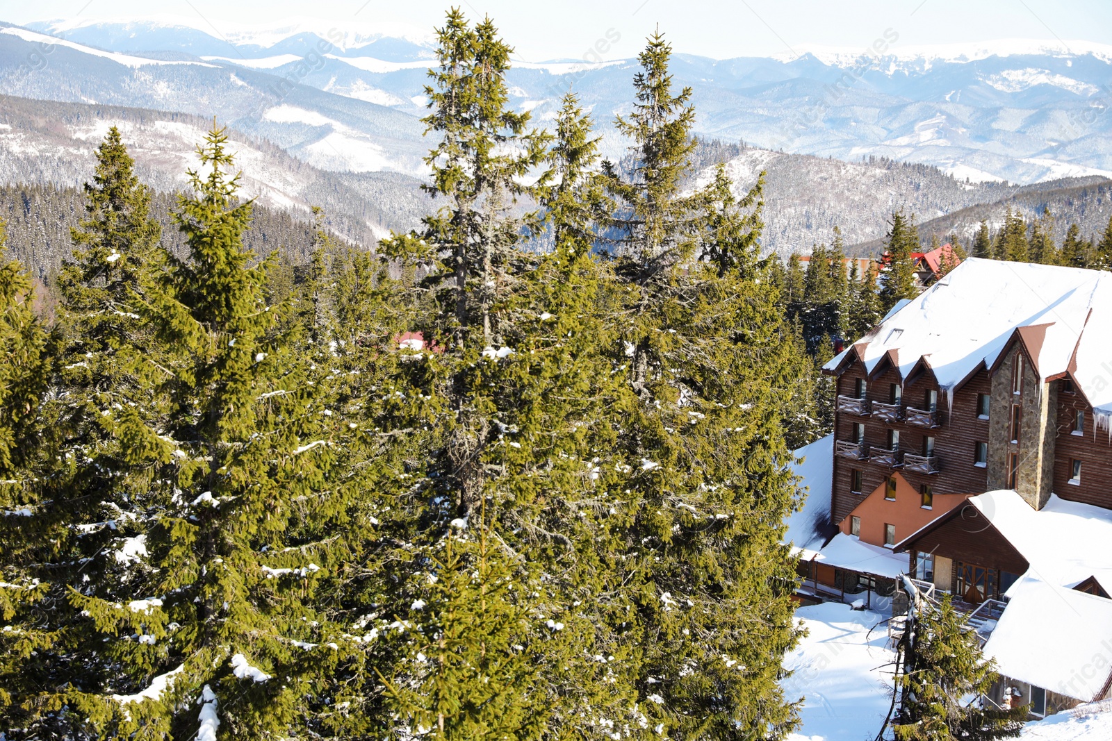 Photo of Beautiful winter landscape with hotel and snowy forest