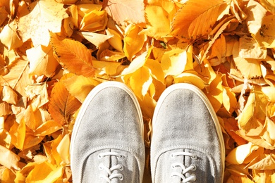 Photo of Sneakers on ground covered with fallen autumn leaves, top view