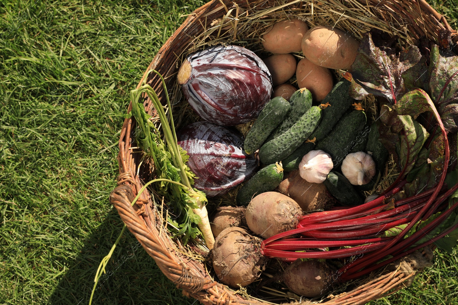 Photo of Different fresh ripe vegetables in wicker basket on green grass, top view