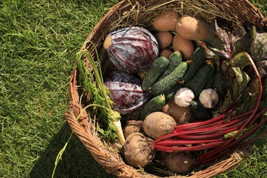 Different fresh ripe vegetables in wicker basket on green grass, top view