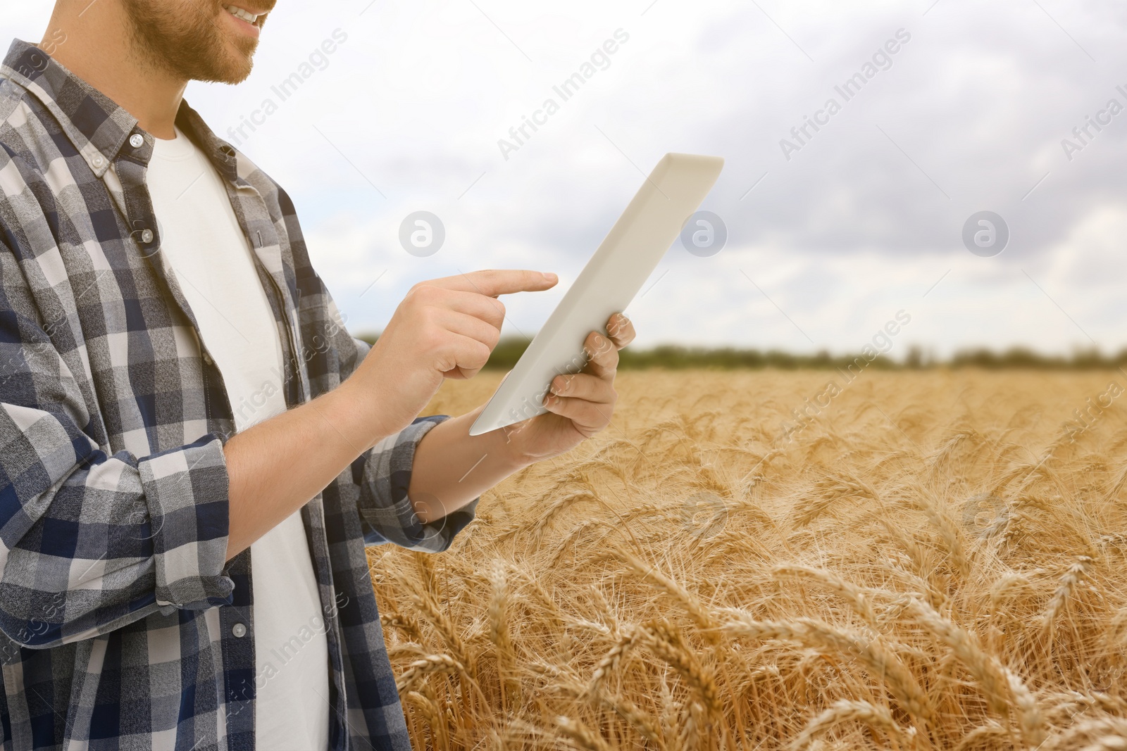 Image of Farmer with tablet computer in field, closeup. Harvesting season