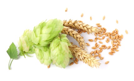 Photo of Fresh green hops, wheat spikes and grains on white background, top view