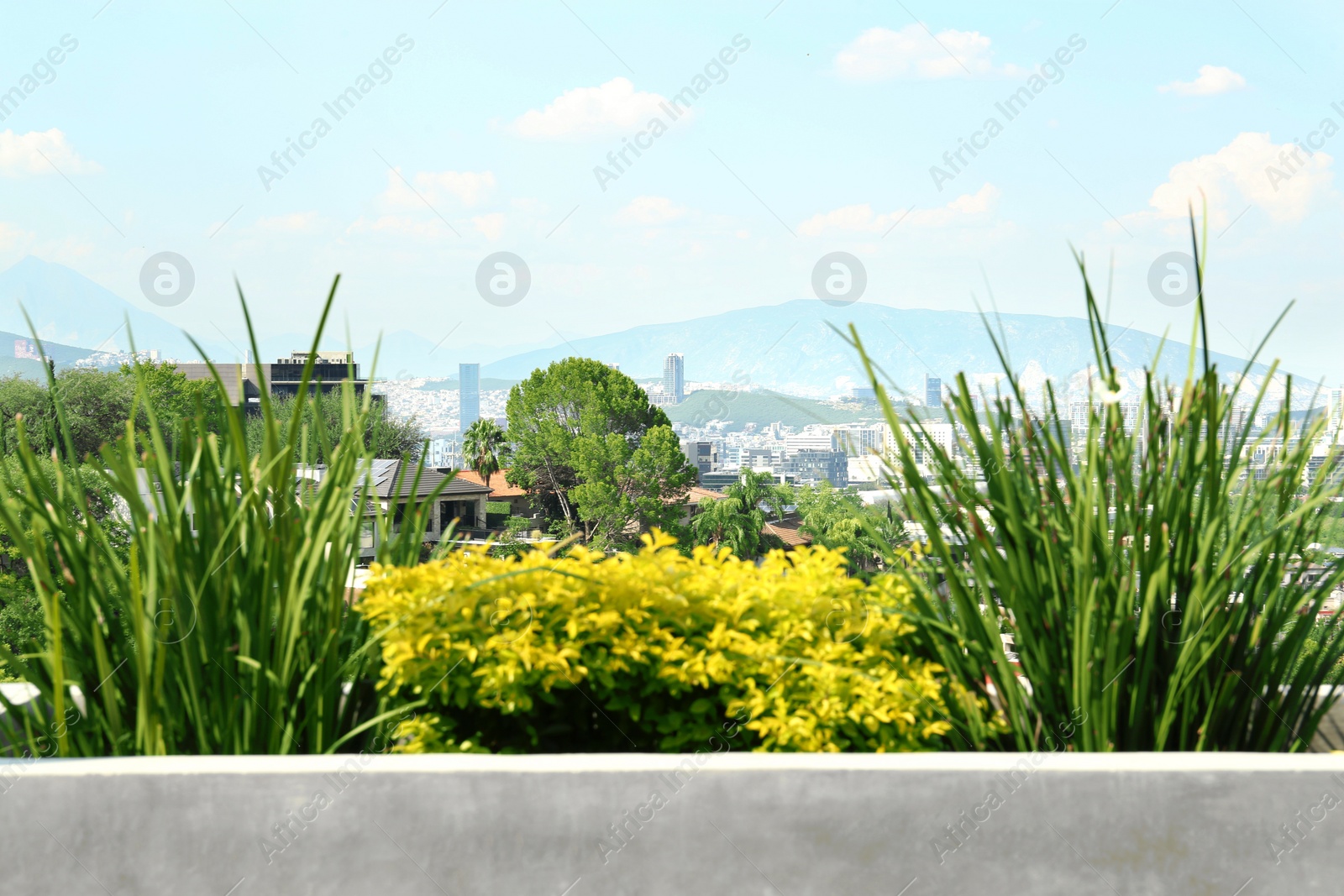 Photo of Beautiful view on city and mountains during sunny day