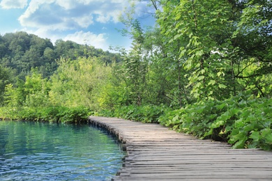 Photo of Wooden bridge over river and beautiful view of forest