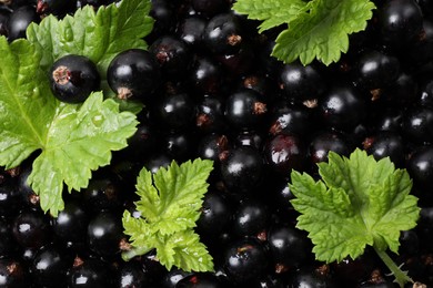 Photo of Many ripe blackcurrants and leaves as background, closeup