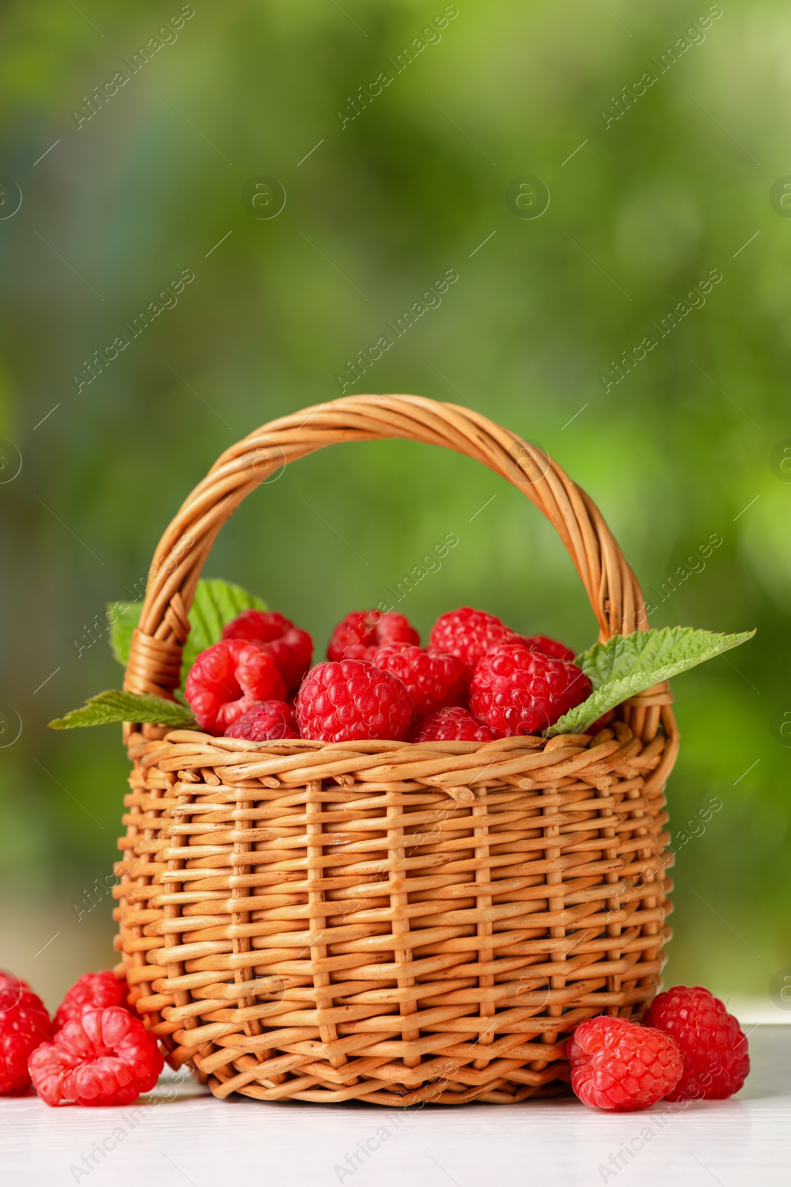 Photo of Wicker basket with tasty ripe raspberries and leaves on white table against blurred green background