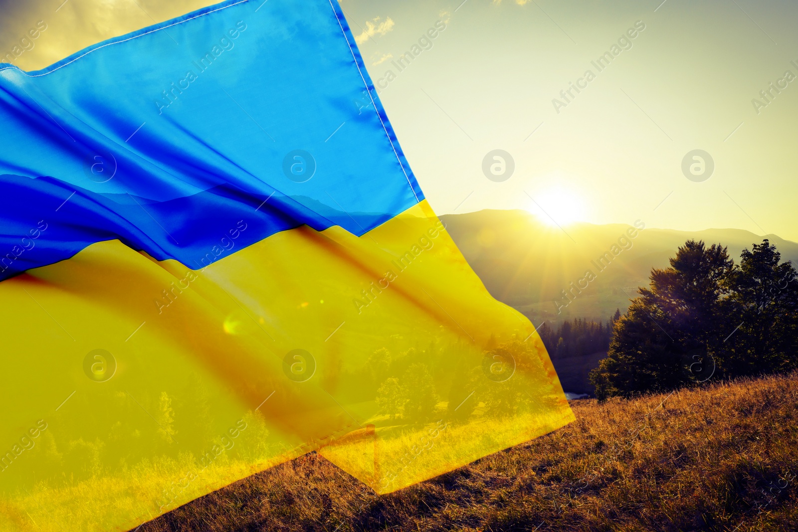 Image of Double exposure of Ukrainian flag and picturesque mountain landscape on sunny day