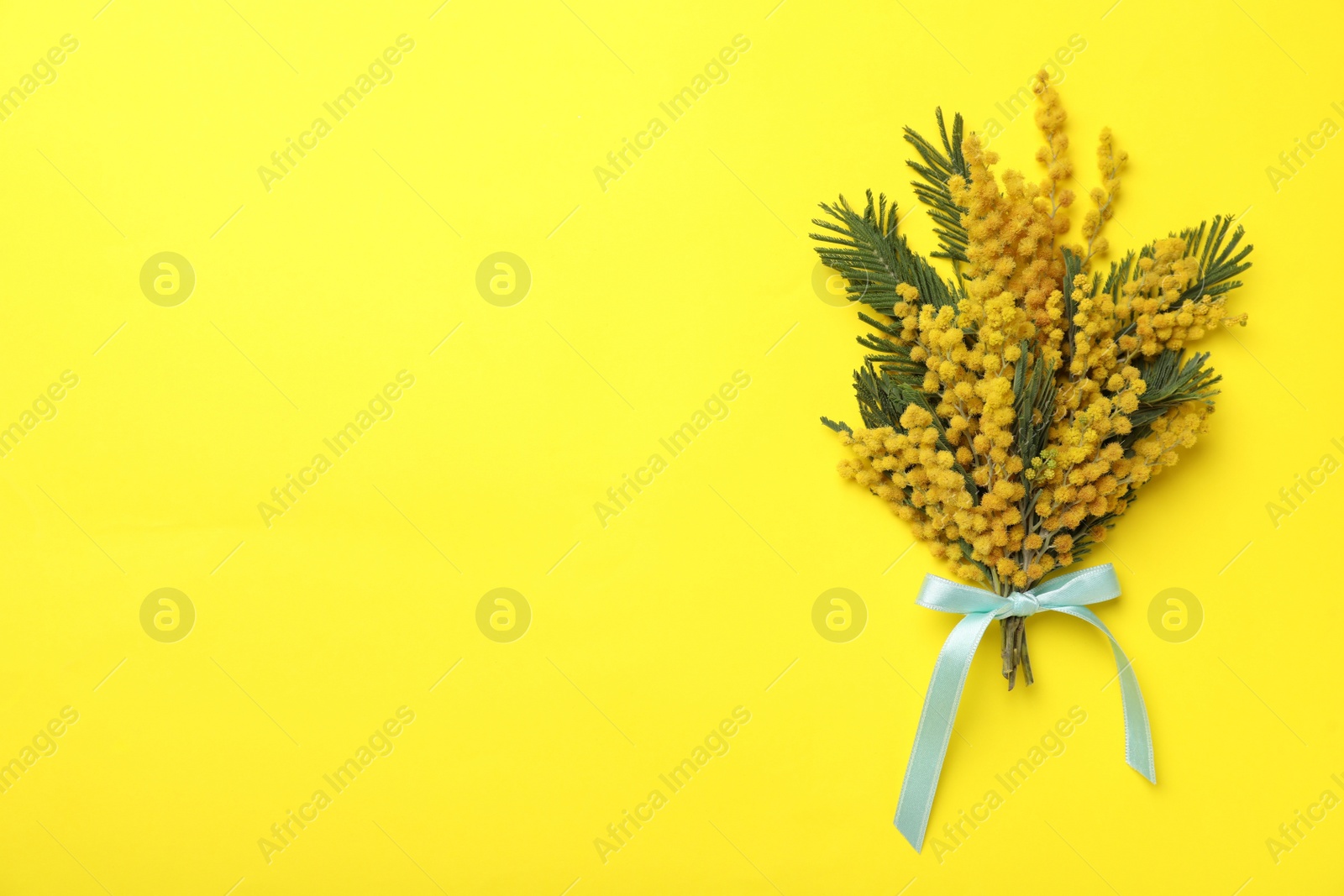 Photo of Beautiful mimosa bouquet on yellow background, top view. Space for text
