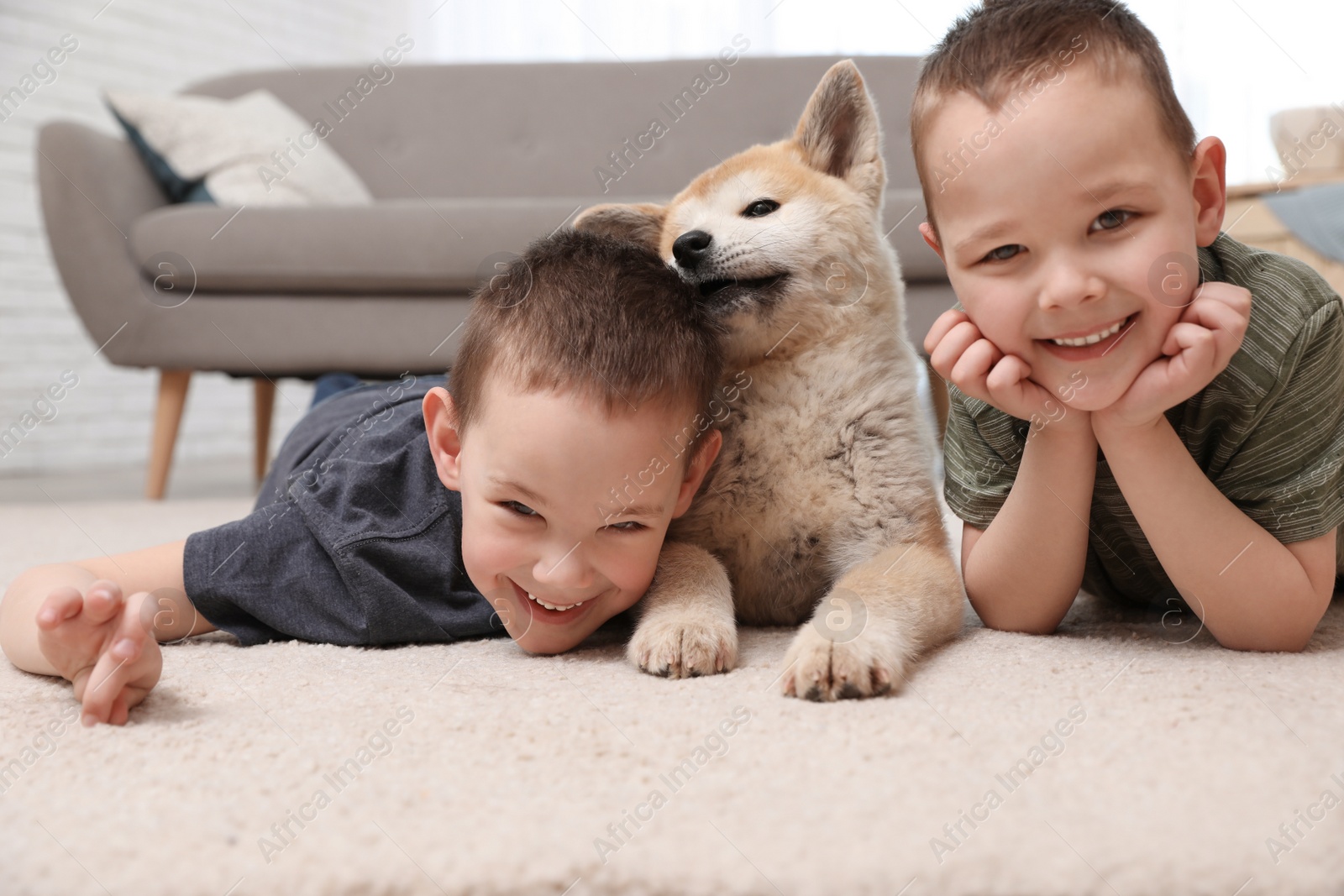 Photo of Happy boys with Akita Inu dog on floor in living room. Little friends