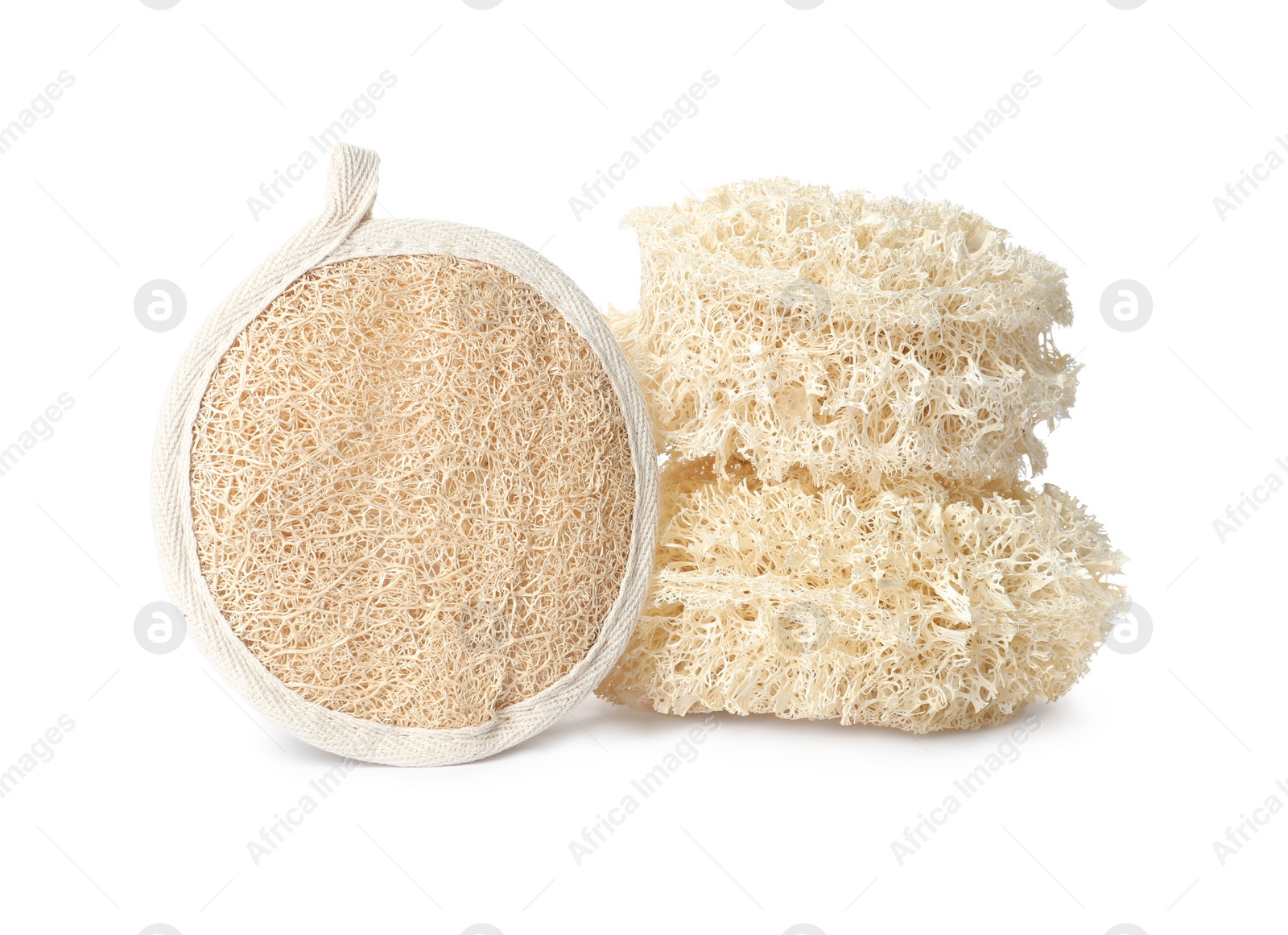 Photo of Natural shower loofah sponges on white background