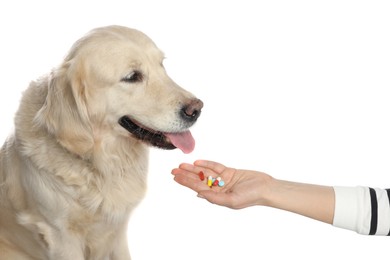 Photo of Woman giving different pills to cute dog on white background, closeup. Vitamins for animal