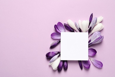 Photo of Beautiful spring crocus flowers and card on color background, top view. Space for text