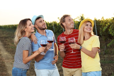 Photo of Friends tasting wine and having fun on vineyard picnic