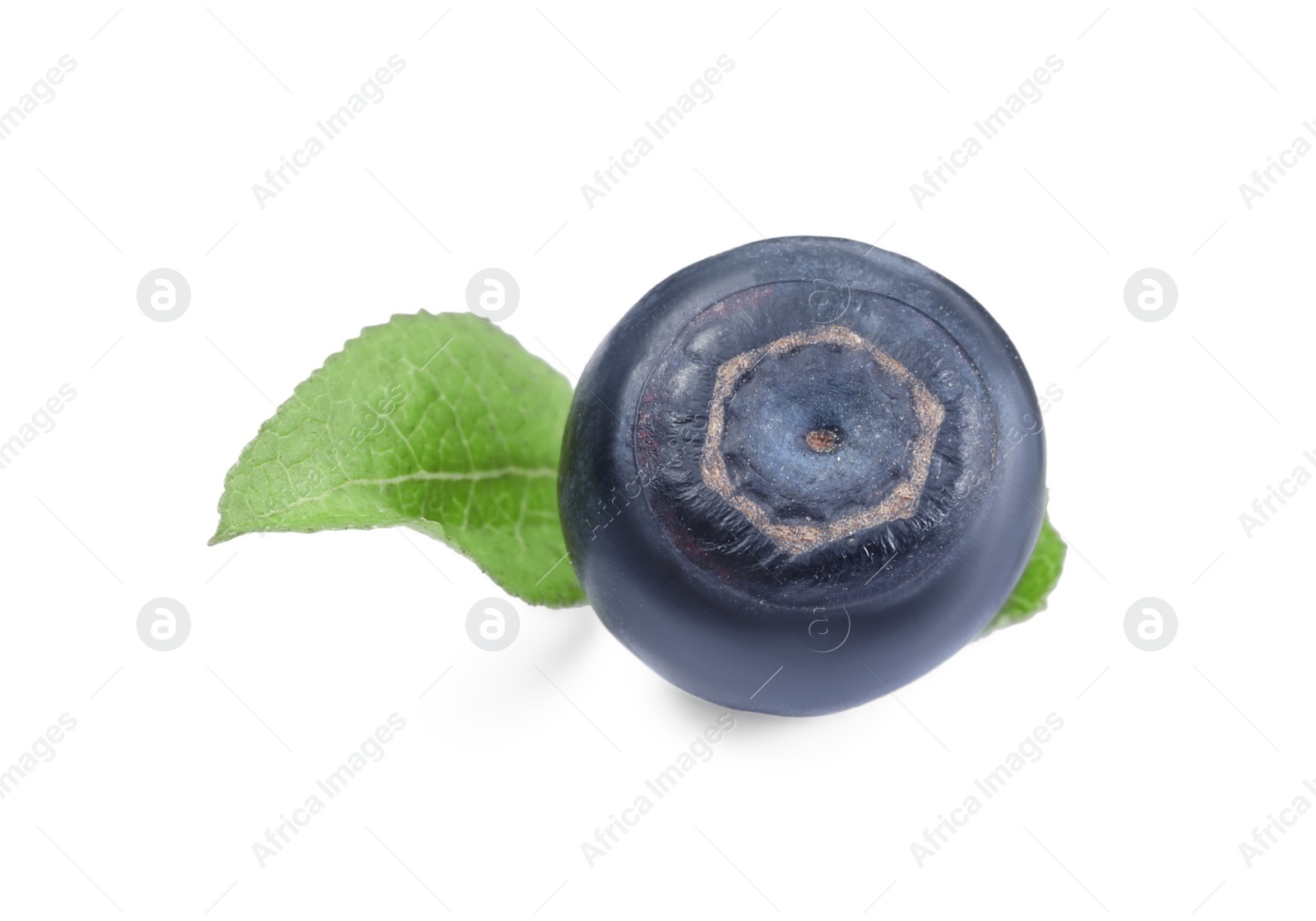 Photo of Tasty ripe bilberry and green leaves isolated on white