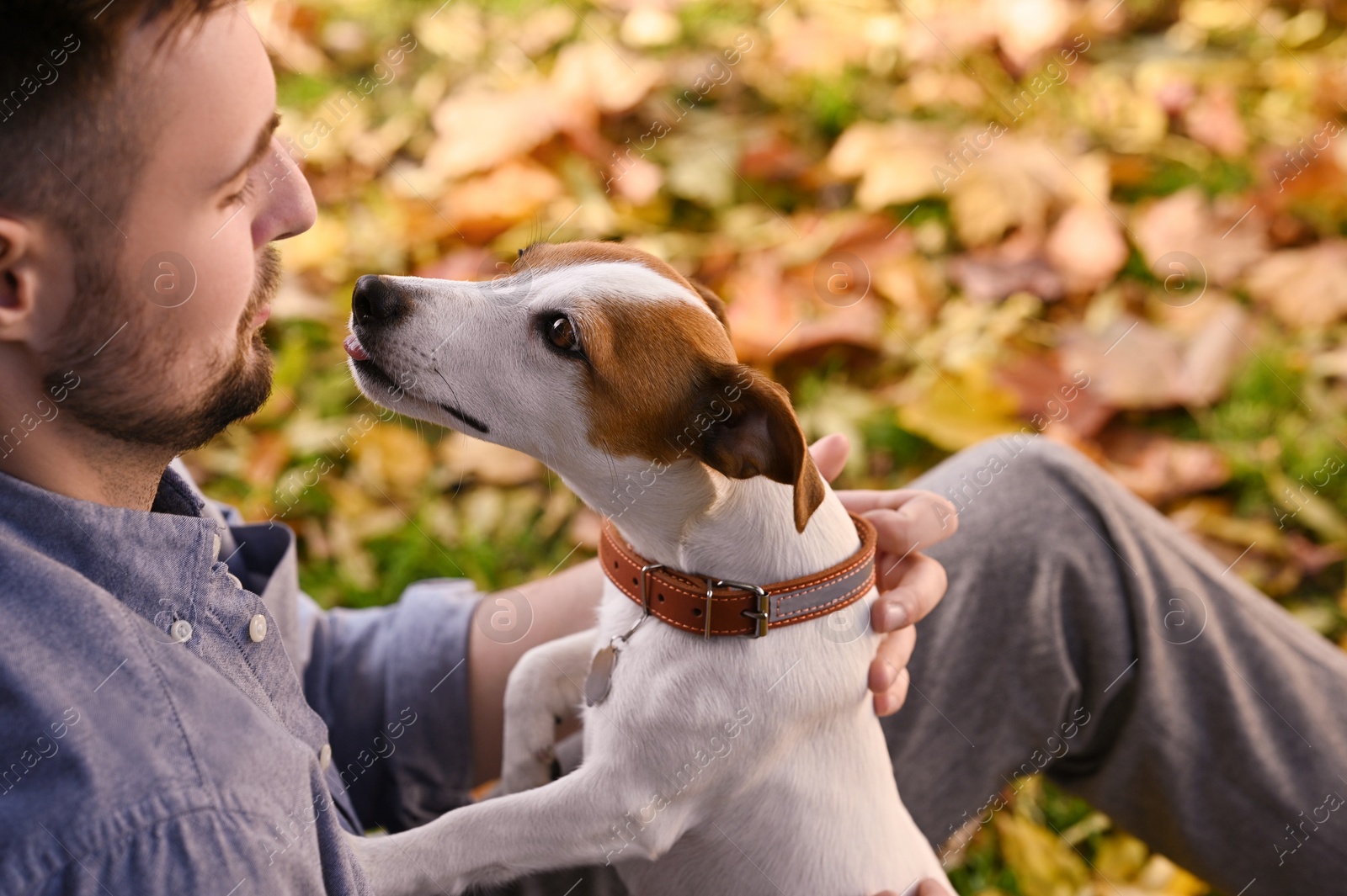 Photo of Man with adorable Jack Russell Terrier in autumn park, closeup. Dog walking