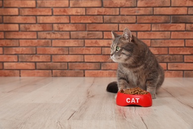 Adorable cat near bowl of food indoors. Pet care