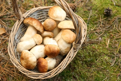 Photo of Basket full of fresh porcini mushrooms in forest, above view