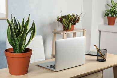 Photo of Office interior with houseplants and laptop on table