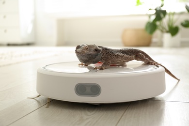 Robotic vacuum cleaner and bearded dragon lizard indoors