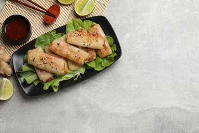 Tasty fried spring rolls served on gray table, flat lay. Space for text