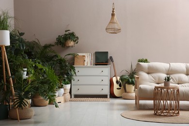 Living room interior with stylish furniture and different houseplants