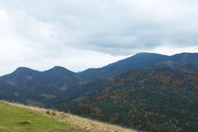 Photo of Picturesque view of beautiful mountains with conifer forest