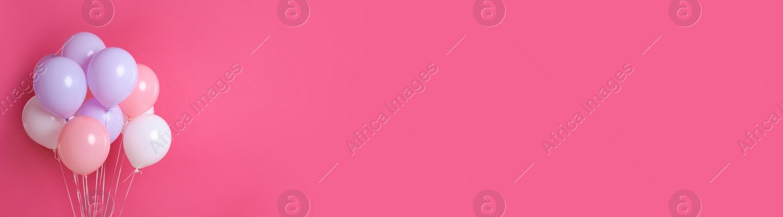 Image of Bunch of color balloons on pink background, space for text. Banner design 
