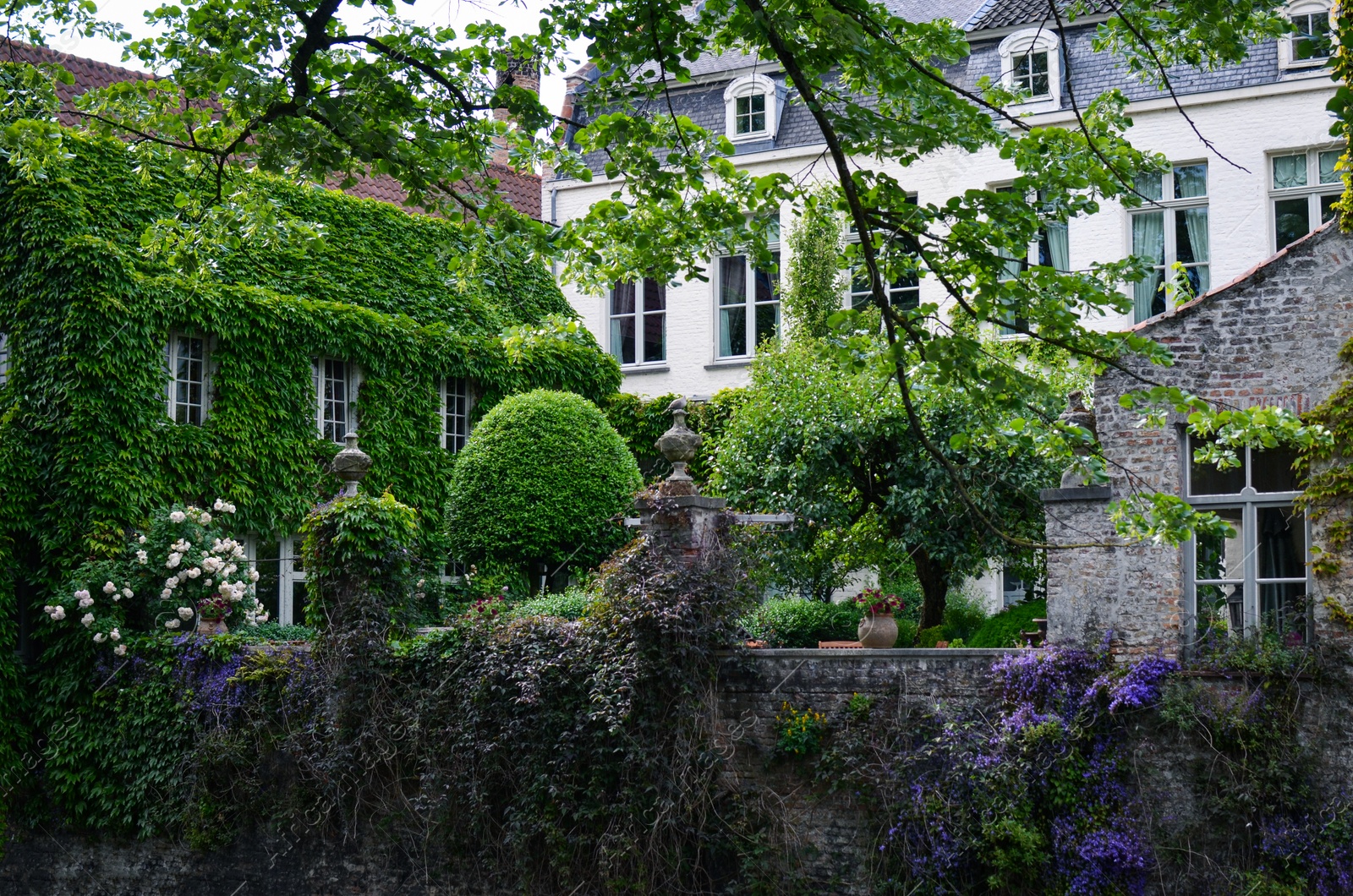 Photo of Beautiful blooming garden with stone fence among city buildings