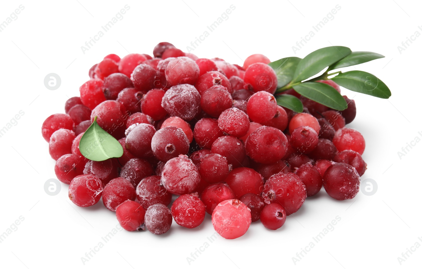 Photo of Frozen red cranberries and green leaves isolated on white