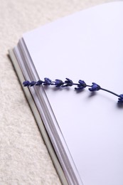 Photo of Preserved lavender flower and notebook on white textured table, closeup