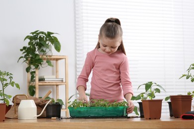 Photo of Cute little girl planting seedlings into plastic container at wooden table in room